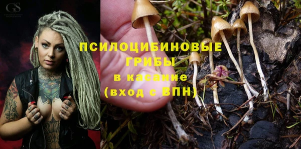 экстази Кукмор