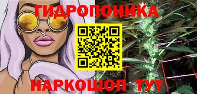 трава Кинель