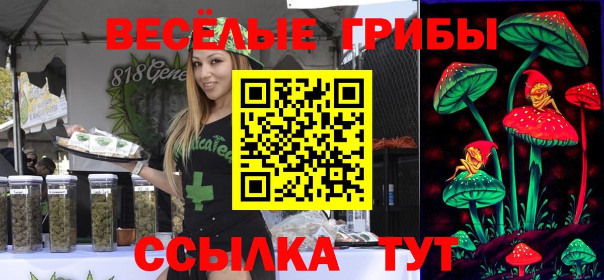 Галлюциногенные грибы Psilocybine cubensis  Усинск  Псилоцибиновые грибы Magic Shrooms 